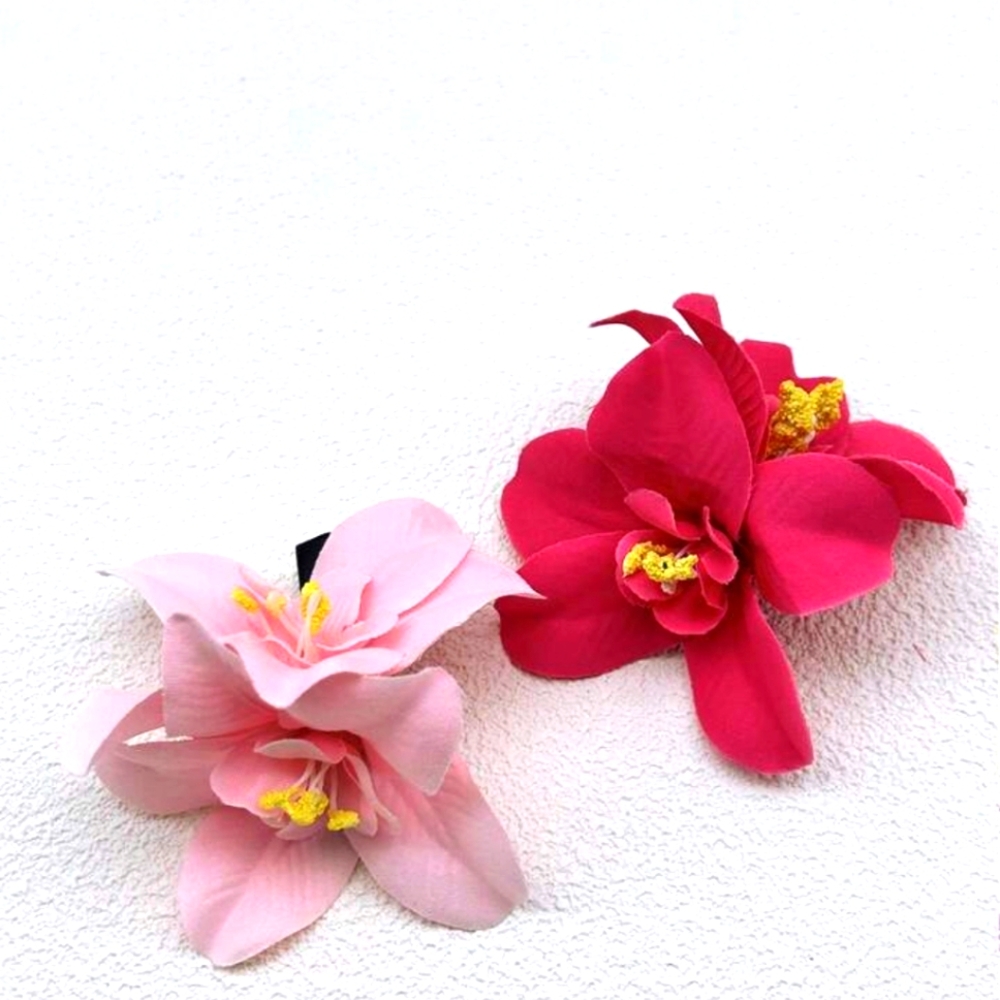2 hair clips 🩷💓